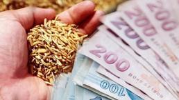 Cumhurbaşkanı Erdoğan müjdeyi vermişti! Bakan Pakdemirli detayları açıkladı!