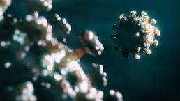 Delta ve Omicron varyantı ile ilgili gizli tehlike! Yeni varyant... 