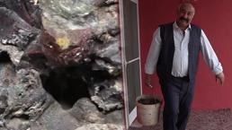 Mantar toplamaya çıktı, tesadüfen gördü! 180 bin dolara satıldığını öğrenince...