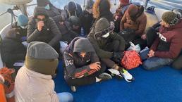 Bodrum'da 33 kaçak göçmen yakalandı