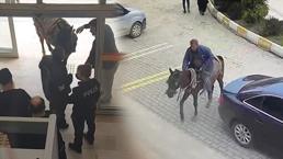 Belediye binasında ilginç görüntüler! Atıyla girmeye çalıştı