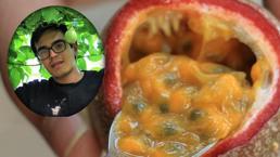 Kilo fiyatı 200 lira! Üniversite okuyan genç paraya para demiyor