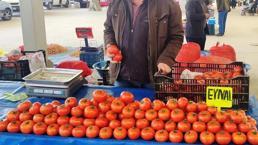 Domatesin fiyatı yarı yarıya düştü