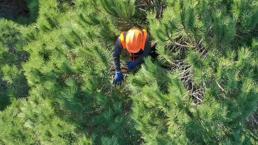 Yangın işçisi alımı şartları nelerdir, OGM 5 bin yangın işçisi alımı 2022 başvuruları ne zaman, nasıl yapılacak?