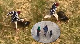 Gezdirdiği köpeğine tekme attı! Kadın o kişiye 'İnsan ol, bu kadar insafsızlık olur mu?' diyerek tepki gösterdi