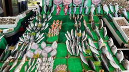 Balık fiyatları mayın krizi sonrası tavan yaptı! 'Tüm balıkçılar ava çıkmaya korkuyor'