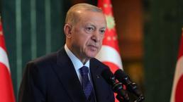 Cumhurbaşkanı Erdoğan Finlandiya Cumhurbaşkanı Sauli Niinistö ile görüştü