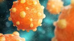 'Gizemli hepatit' açıklaması: Kovid-19 gibi yayılma beklemiyoruz