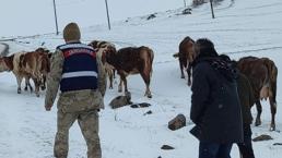 Hayvanlarını otlatırken karda mahsur kalan kadın, 4 saatte kurtarıldı