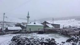 Kar yağışı etkili oldu! Görenler inanamadı, lapa lapa yağdı