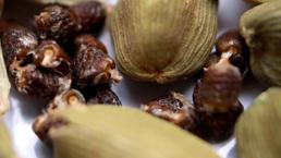 Libidoda patlama yapıyor, testosteron seviyesini zıplatıyor! İşte afrodizyak etkisi ile cinsel gücü artıran besinler...  