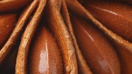 Kan dolaşımını düzenliyor, vücudu baştan aşağı temizliyor! Yaraları iyileştiriyor, iştah açıcı, uyku verici, anne sütünü artırıcı...  