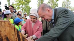 Cumhurbaşkanı Erdoğan, Atatürk Havalimanı Millet Bahçesi'ne ilk fidanı dikti