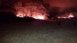 Marmaris'teki orman yangınında sabotaj şüphesi
