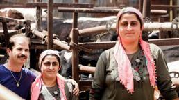 Paraya para demiyor! Evde canı sıkılınca başladı, eşi bile gülüp geçti ama şimdi servet sahibi...