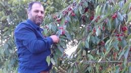 'Tarlamı bedelsiz ekip biçtin' cinayeti sanığına 36 yıl hapis cezası