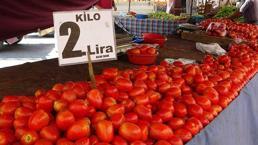 Domatesin kilosu 2 liraya düştü