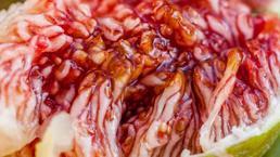 Yüksek tansiyonu düşürüyor, kanı tamamen temizliyor! Sütün içinde bekletince faydaları katlanıyor