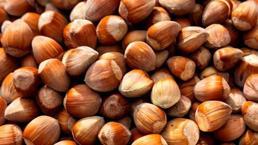 Fındık alım fiyatı ile ilgili son dakika açıklaması! 22 Ağustos'ta başlıyor...