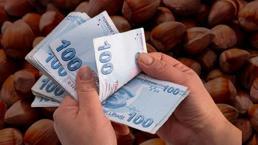 Fındık fiyatları açıklandı! 2022 fındık satış ve alım fiyatı belli oldu