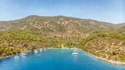 Arsaya talep resmen patladı! Fiyatlar yüzde 83 arttı