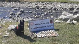 Yüksekova kırsalında silah ve mühimmat ele geçirildi
