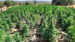 Terör örgütünün finans kaynağına darbe! İçişleri duyurdu 