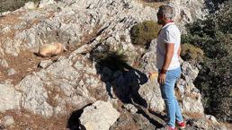 Bodrum'da 'çocuk cesedi' alarmı! Vatandaşlar tepki gösterdi