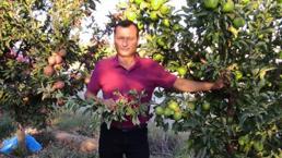 Oğlu ile tartışan 2 kardeşin sopalı saldırısında öldü