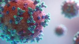 Strep A nedir? 4 Çocuğun hayatını kaybettiği Strep A hastalığını belirtileri nelerdir, nasıl ortaya çıkar?
