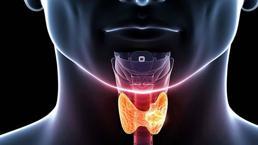 Ses teli yırtılması nedir, ses teli yırtılması neden olur? Aleyna Tilki ses teli yırtılması nedeniyle bir süre şarkı söyleyemeyecek!