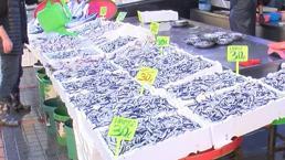 Karadeniz'de palamudun yerini hamsi aldı! Kilo fiyatı belli oldu