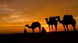 Deve gribi nedir, belirtileri nelerdir ve bulaşıcı mı? Orta Doğu Solunum Sendromu (MERS) deve gribi ölümcül mü?