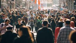 Tazminat alabilirsiniz! Mağazada alışveriş yapan herkes için geçerli, mutlaka başvurun