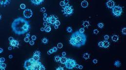 Strep A bakterisi belirtileri nelerdir? Streptokok nedir, Streptokok Strep A bakterisi tedavisi var mı, Strep A hastalığı nasıl bulaşır?