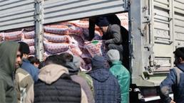 Deprem bölgesindeki hayvan yetiştiricilerine yem desteği