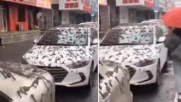 Gökten solucan yağdı, herkesin aklına aynı şey geldi: Kıyamet alameti