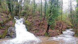 Kuraklık alarmı veren Kazdağları'ndan sevindiren görüntü 