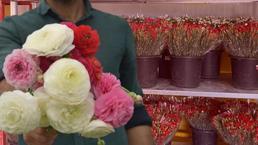 Türkiye’de sadece bir ilde üretiliyor! Yüzde 90’ı yurt dışına ihraç ediliyor