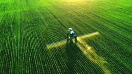 Gıda ürünlerinde zehir alarmı! İkisi Türkiye'de yasaklı madde: İşte listedeki meyve ve sebzeler...