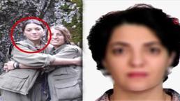 Yeşil Sol Parti Milletvekili Adayı Ayten Dönmez gözaltına alındı