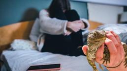 Kabus iguanayı sevmesi ile başladı!' 'Hayvan terbiyecisi' yalanıyla iğrenç saldırı