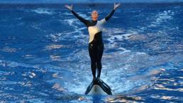 Havuzda 45 dakikalık dehşet! Katil balina eğitmenini yüzlerce kişinin önünde katletti