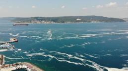 Ege'de korkutan tekne müsilajı! Tuvalet, bulaşık ve balast atıkları kirletti