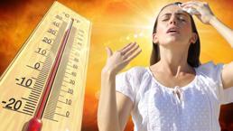 Rekor sıcaklıklar için soğuk formül! Bakanlık düğmeye bastı