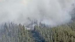 Üç ilden yangın haberleri art arda geldi! Milas Belediye Başkanı: Yangın evleri tehdit ediyor