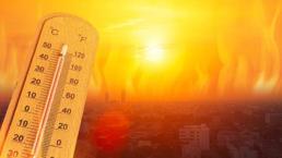 Sıcaklıklar bunaltacak! Meteoroloji bölge bölge uyardı: Mevsim normallerinin 2-4 derece üzerinde olacak...