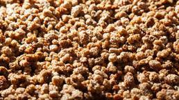 Kandaki iltihaplanmayı yok ediyor, kolesterolü düzenliyor, kan şekerini dengeliyor! Osmanlı’da ilaç olarak kullanılıyordu