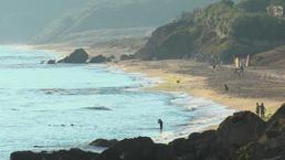 Şile'de top mermileri bulundu! Plaj kapatıldı, hepsi imha edildi