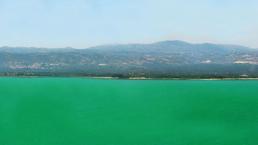 Marmara'nın en büyük gölü turkuaz renge büründü! İznik Gölü'nde siyanobakteri artışı...